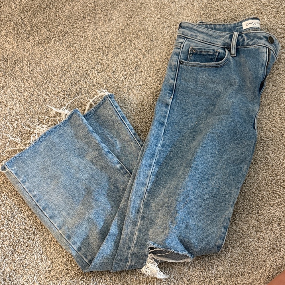 Carly Jean Los Angeles Kate Jeans